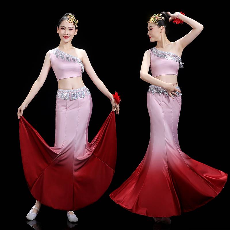 Dai clothing female West Shuang version suite 2024 new ethnic minority clothing art test dance adult half body skirt