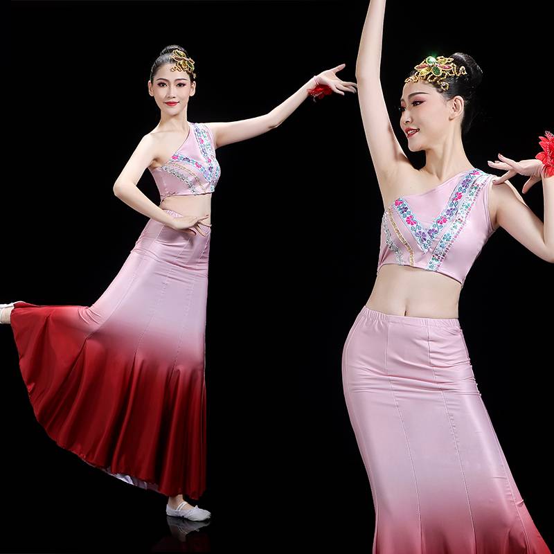 Dai clothing female West Shuang version suite 2024 new ethnic minority clothing art test dance adult half body skirt
