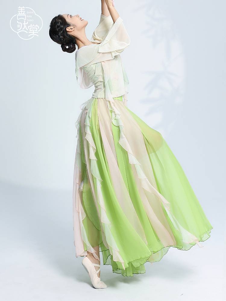 Shan Rantang Classical Dance Dance Clothes Top Chinese Dance Series Charming Delivery Dress Wide -leg Pants Performing Actress Performance Clothing