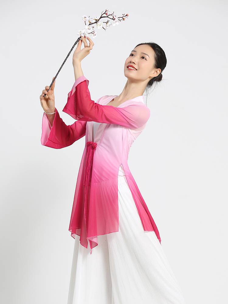 Classical dance clothing in rhyme gauze V Galaxy color horn sleeves Chinese national performance base training skills female summer