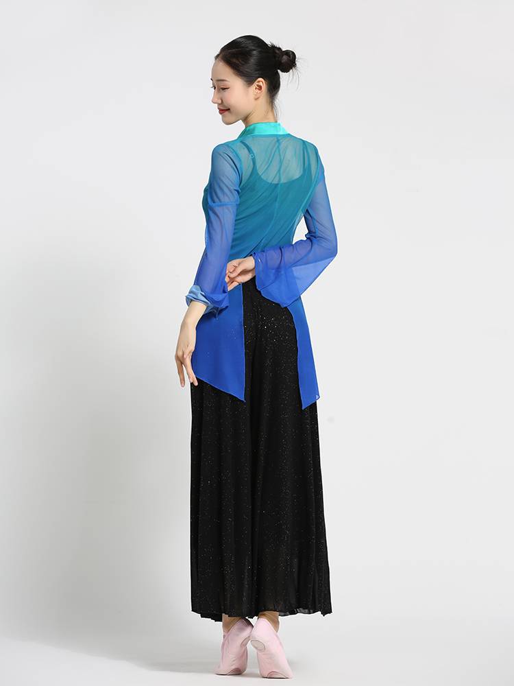 Classical dance clothing in rhyme gauze V Galaxy color horn sleeves Chinese national performance base training skills female summer