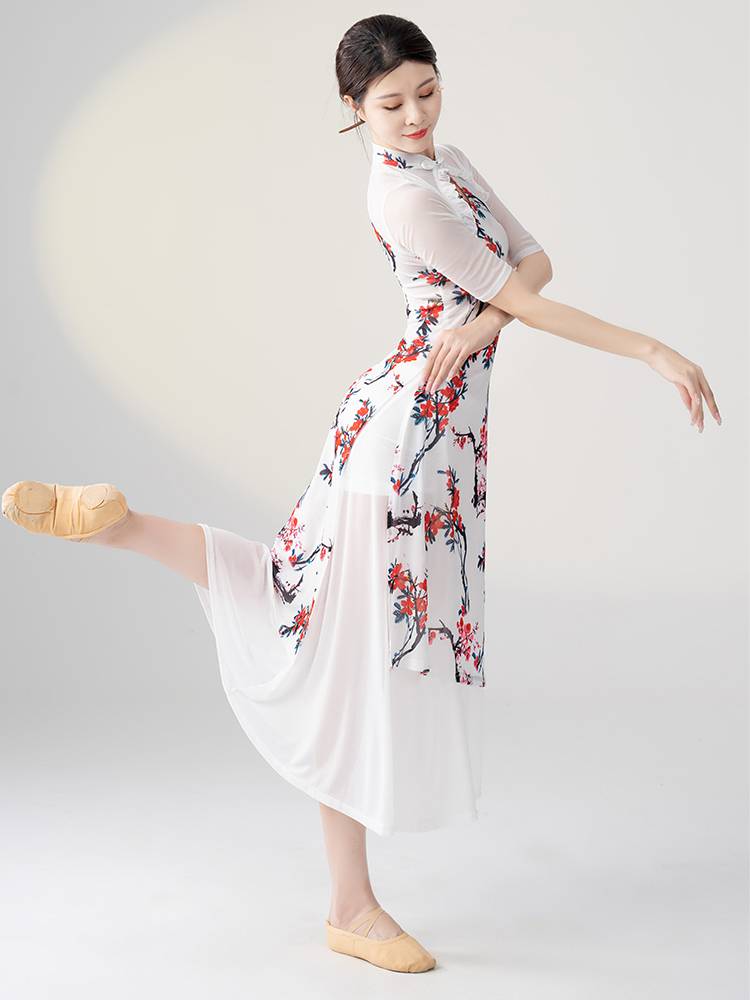 Classical dance clothing female elegant gauze dancing dedicated cheongsam dress Chinese style national practice performance performance set