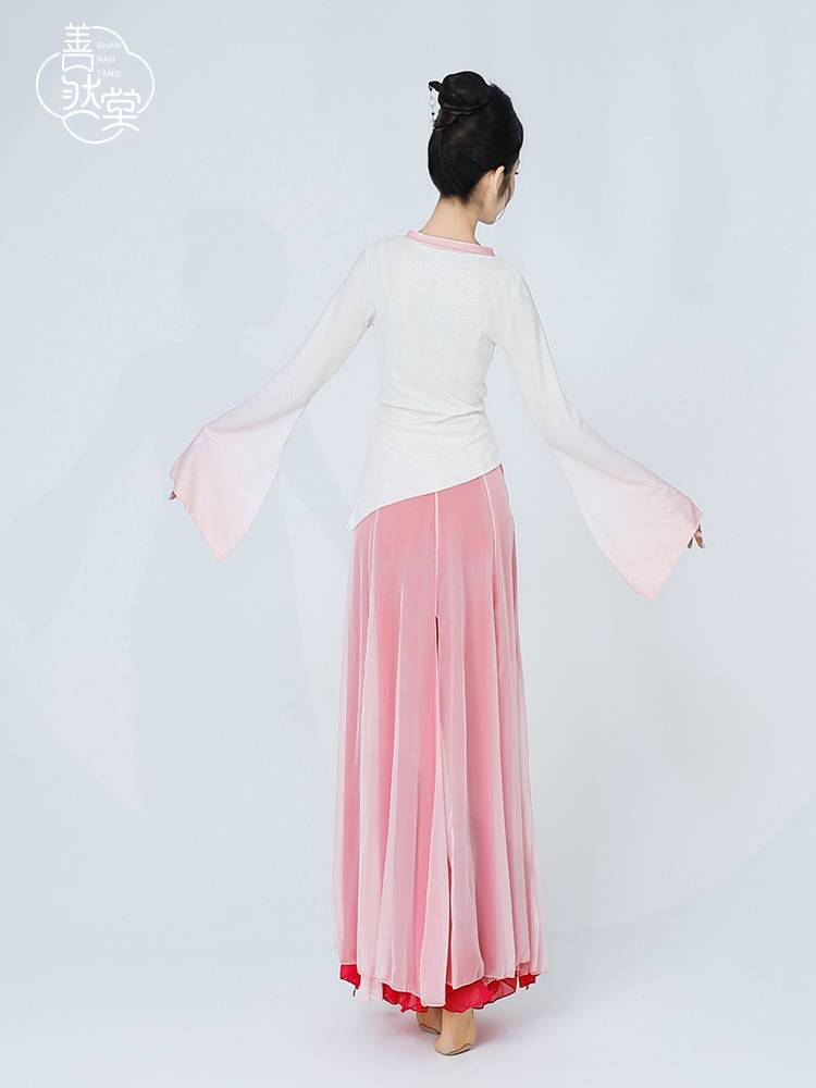Shan Ran Hall of Summer New Dance Server Gine Clothes Classical Dance Server Top Female Body Chairman Performance Service