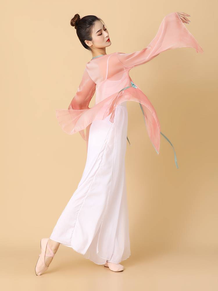 Dance Wujie Classical Dance Dance Female Female Yundi Fairy Fairy Fairy Top National Dance Chinese Dance Dance Clothing