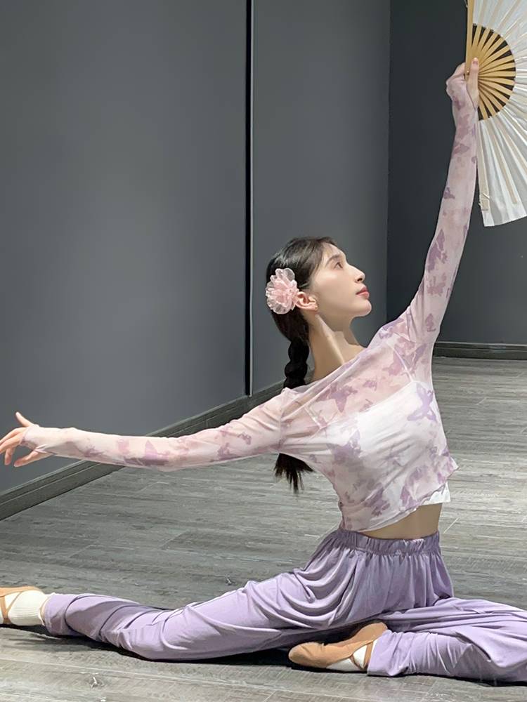 Classical dance clothing body rhyme yae dedicated Chinese national dance clothing performance exercise exercise printed butterfly top female
