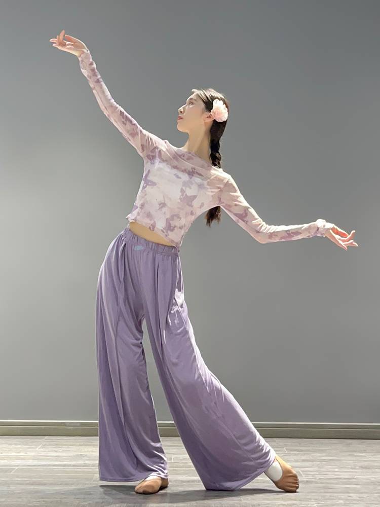 Classical dance clothing body rhyme yae dedicated Chinese national dance clothing performance exercise exercise printed butterfly top female