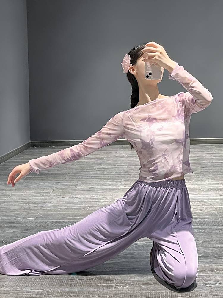 Classical dance clothing body rhyme yae dedicated Chinese national dance clothing performance exercise exercise printed butterfly top female