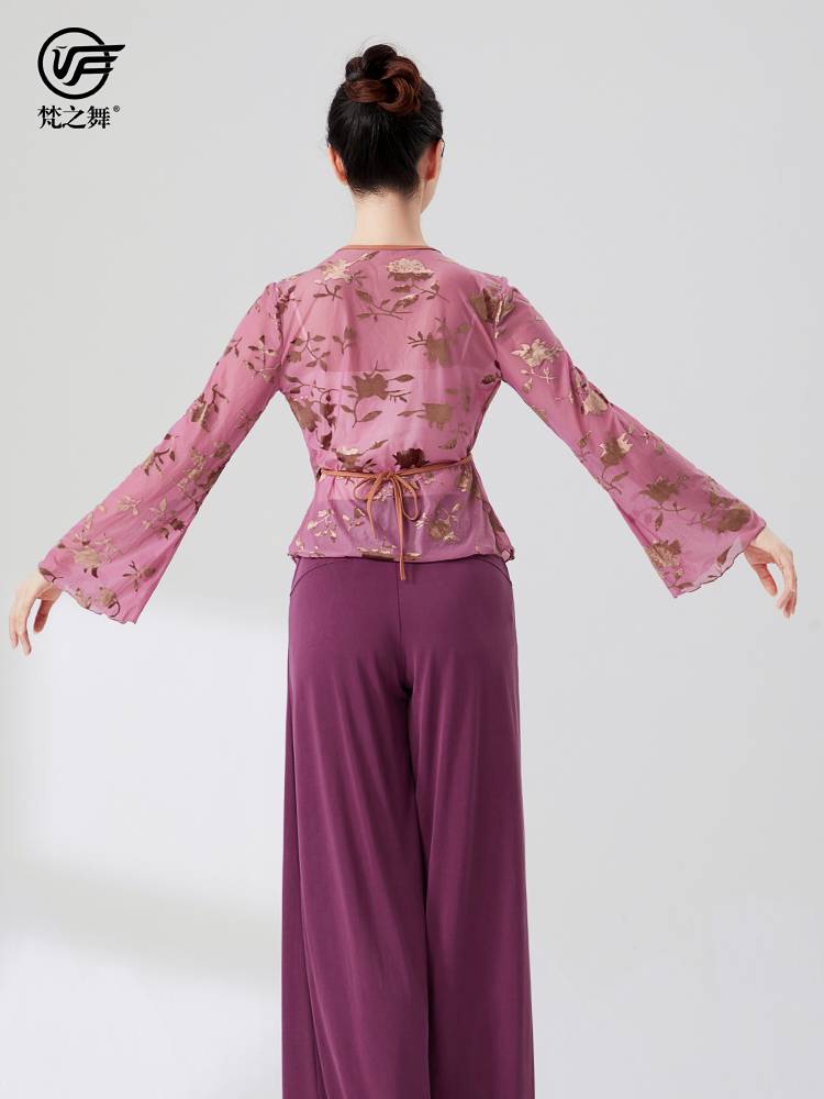 Brahma Dance Chinese Classical Dance Body Rhymes Practice Women's Net Gauze Printing Short Buckle Twoa Learn Foundation Top