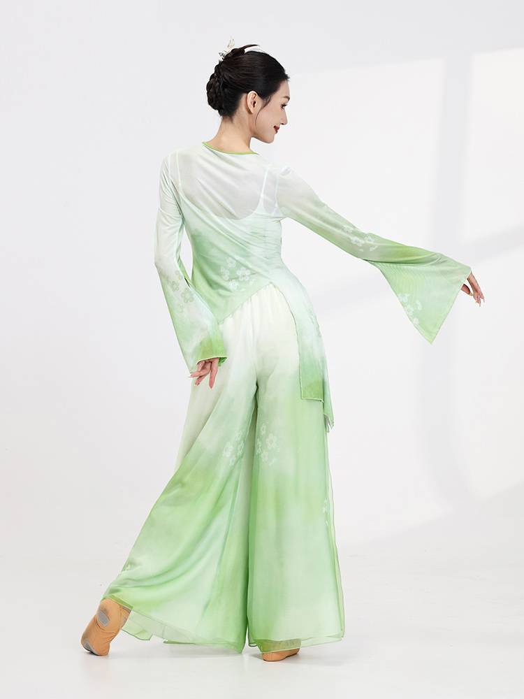 Xuan Palace Classical Dance Gradm Character Giney Dance Costume Chinese National Dance Performance Shirt Practice Dress