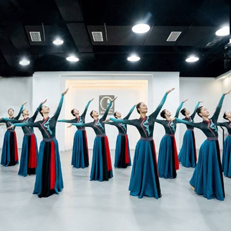 The new ethnic minority clothing Mongolian dance performance clothing suite modern national style Mongolian dance service female Hongyan