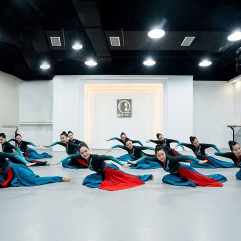 The new ethnic minority clothing Mongolian dance performance clothing suite modern national style Mongolian dance service female Hongyan
