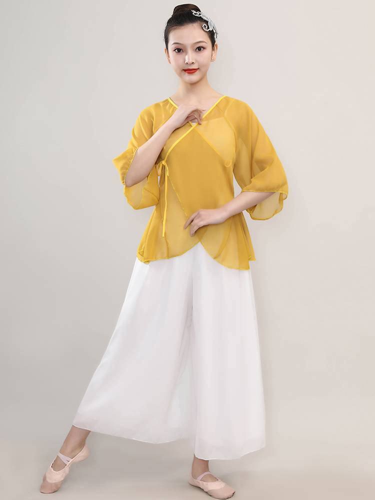 Classical dance clothes body rhyme gauze adult girl elegant practice service spring and summer Chinese dance national dance service performance service