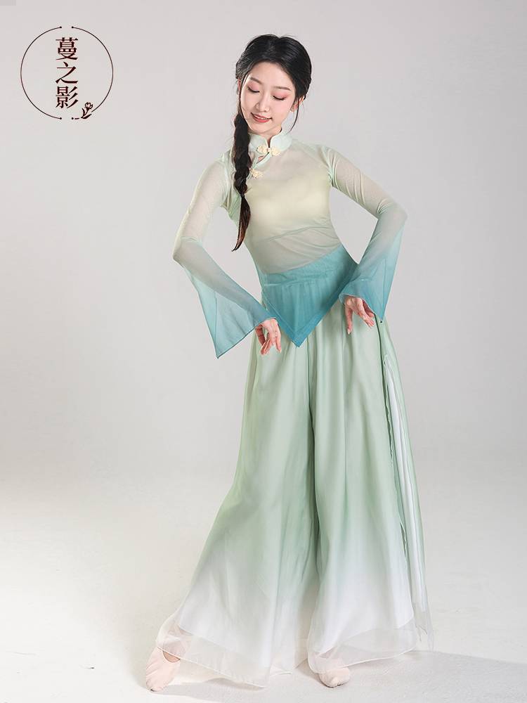 Classical dance body rhymes, spring and summer long -sleeved Chinese dance exercise, modern dance performance service, art test dance service girl