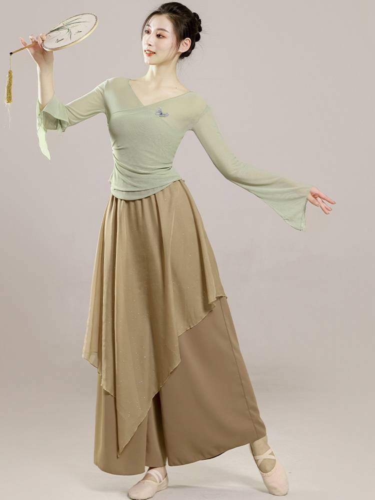 Shu Zhifang classical dance body rhyme, butterfly gauze clothing class costume test exercises, Chinese national dance clothing top female