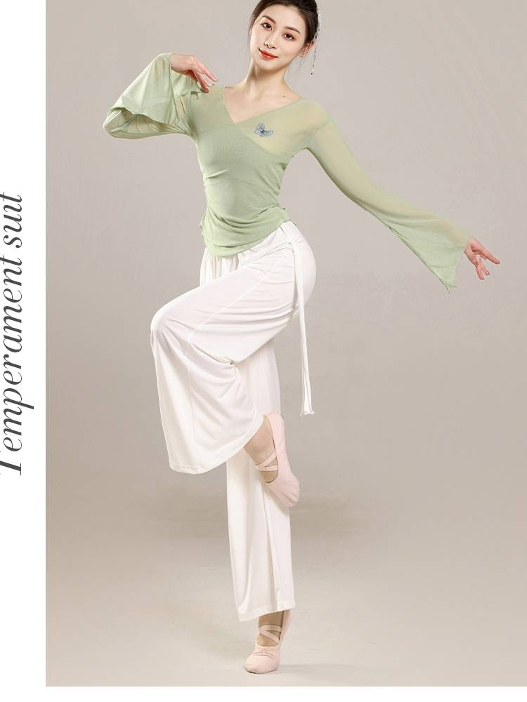 Shu Zhifang classical dance body rhyme, butterfly gauze clothing class costume test exercises, Chinese national dance clothing top female