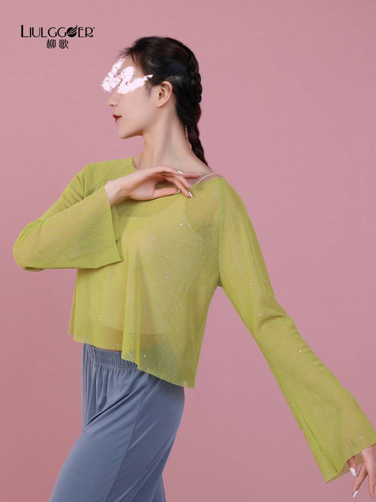 Liu Ge Classical gauze top Modern classical national rhyme performance collection training skills female elegant dance clothing
