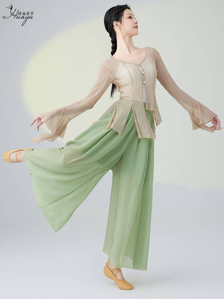Classical dance clothing female elegant yarn clothing body rhyme training clothing Chinese style national dance 2024 new female long sleeves
