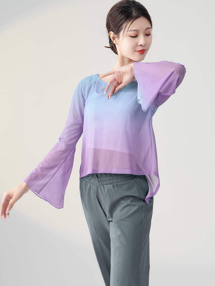 Classical dance clothing female elegant yarn clothes body rhyme, fairy top Chinese style modern dance loose net gauze long sleeves