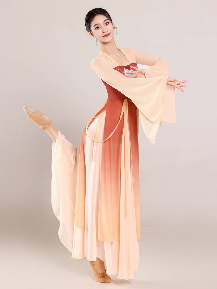 Classical dance dance service female ancient style Han Tang Piao tape long printed body rhyme gauze Chinese dance nation dance performance