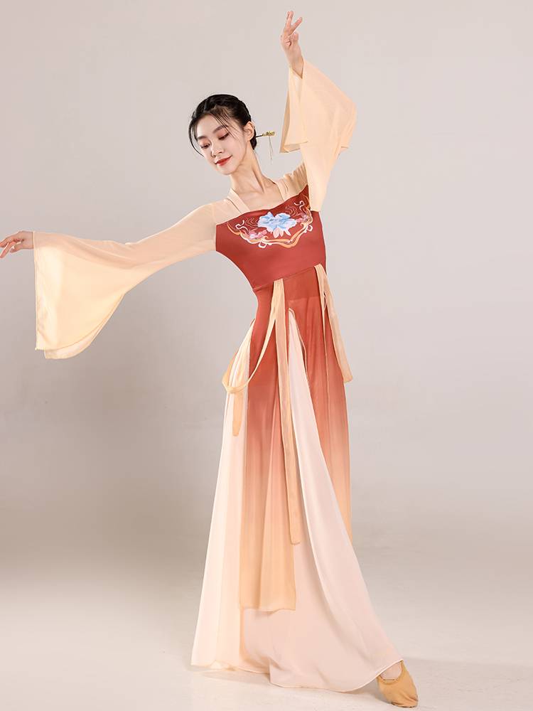 Classical dance dance service female ancient style Han Tang Piao tape long printed body rhyme gauze Chinese dance nation dance performance