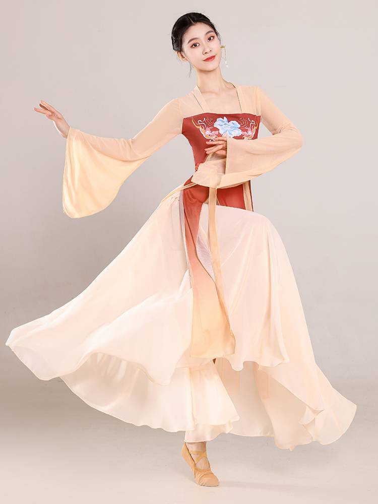 Classical dance dance service female ancient style Han Tang Piao tape long printed body rhyme gauze Chinese dance nation dance performance