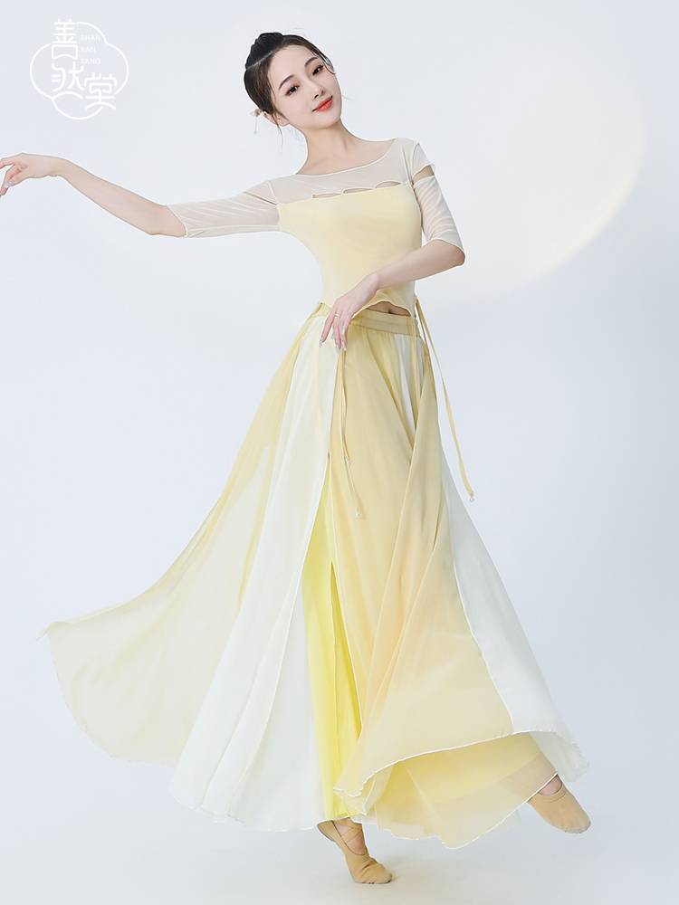 Shan Rantang Classical Dance Dance Clothing Female Summer Elastic Net Gauze top Chinese style short dance clothing spring and summer