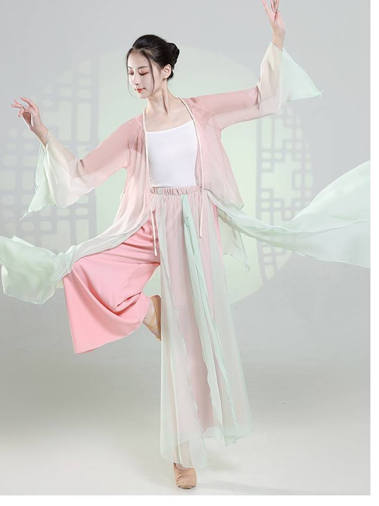 Classical dance clothing female elegant body rhyme gauze women's top exercise exercise art test base training national Chinese dance performance service