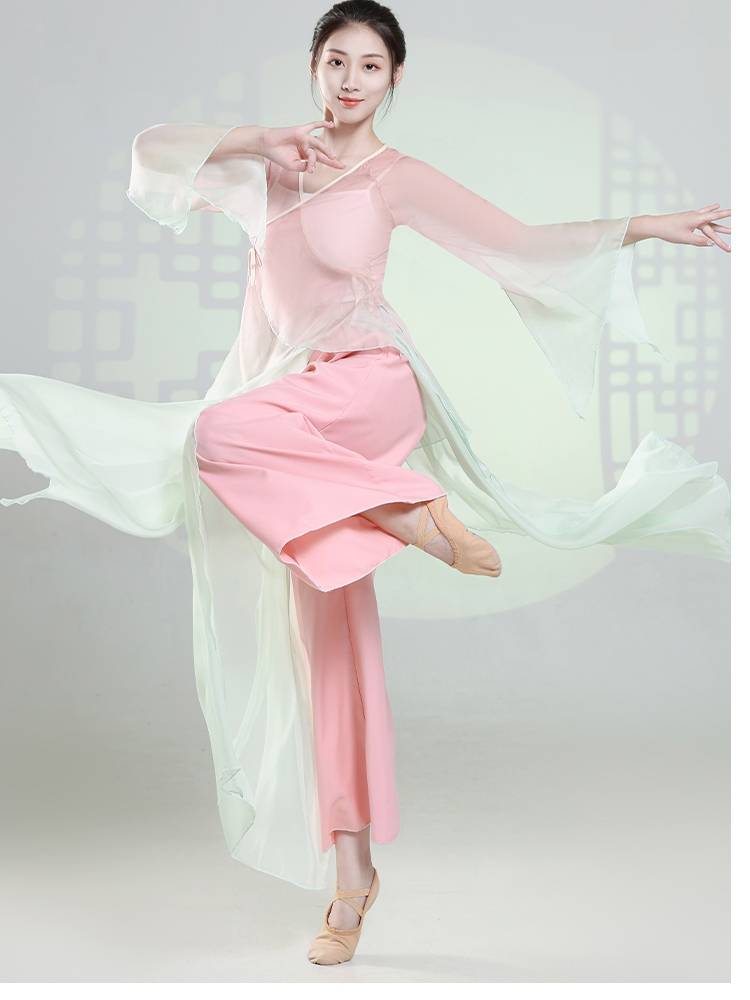 Classical dance clothing female elegant body rhyme gauze women's top exercise exercise art test base training national Chinese dance performance service