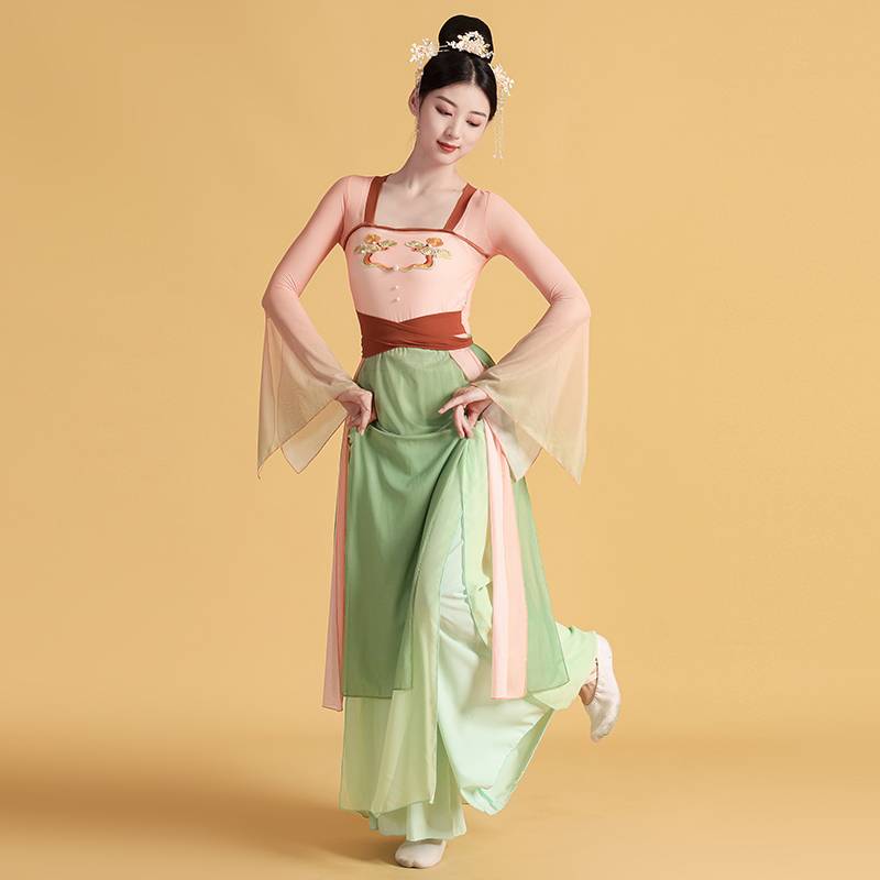 Classical dance clothing female elegant Han Tangfeng long body rhyme gauze Chinese dance exercise national dance watch performance