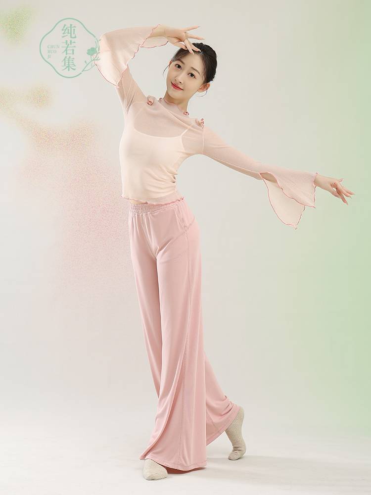 Pure Ruoji Classical Dance Net Mulberry Top Rhyme Cloud Sports Server Daily Practice Chinese Dance Performance Server Long Sleeve Top