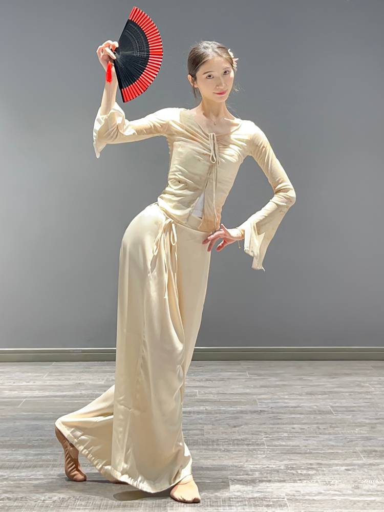 Classical dance clothing elegant body rhyme printing gauze Chinese dance national dance clothing body top performance clothing