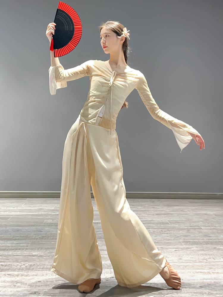 Classical dance clothing elegant body rhyme printing gauze Chinese dance national dance clothing body top performance clothing