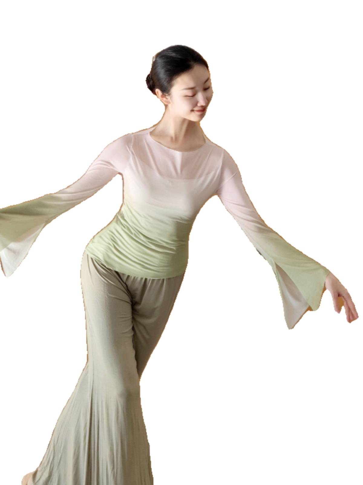 Classical dance gauze Chinese dance clothing body rhyme dressing dance top women's new winter dance practice uniform