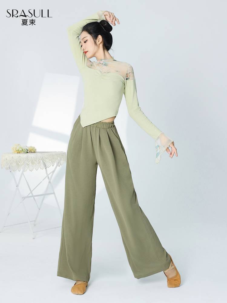 Xia Shu Classical Dance clothing practice clothing female adult long sleeve top dance service Chinese Feng ink stitching spring spring