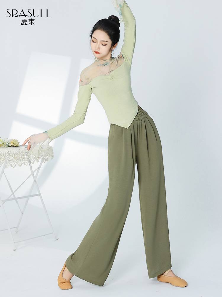 Xia Shu Classical Dance clothing practice clothing female adult long sleeve top dance service Chinese Feng ink stitching spring spring