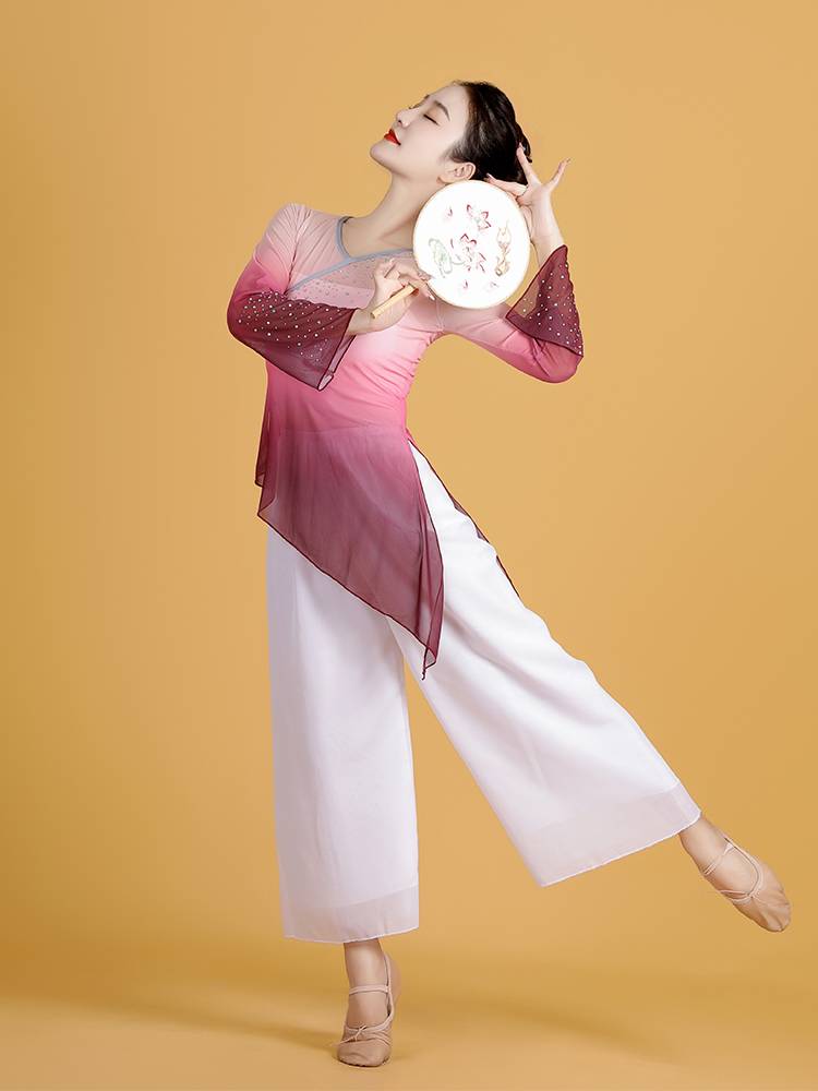 Classical dance clothing practice suit Gradient gauze female Chinese style practice clothes body rhyme dance gauze shape top