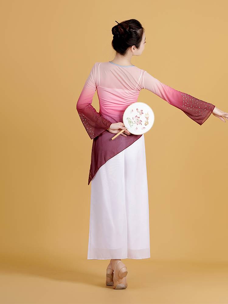 Classical dance clothing practice suit Gradient gauze female Chinese style practice clothes body rhyme dance gauze shape top
