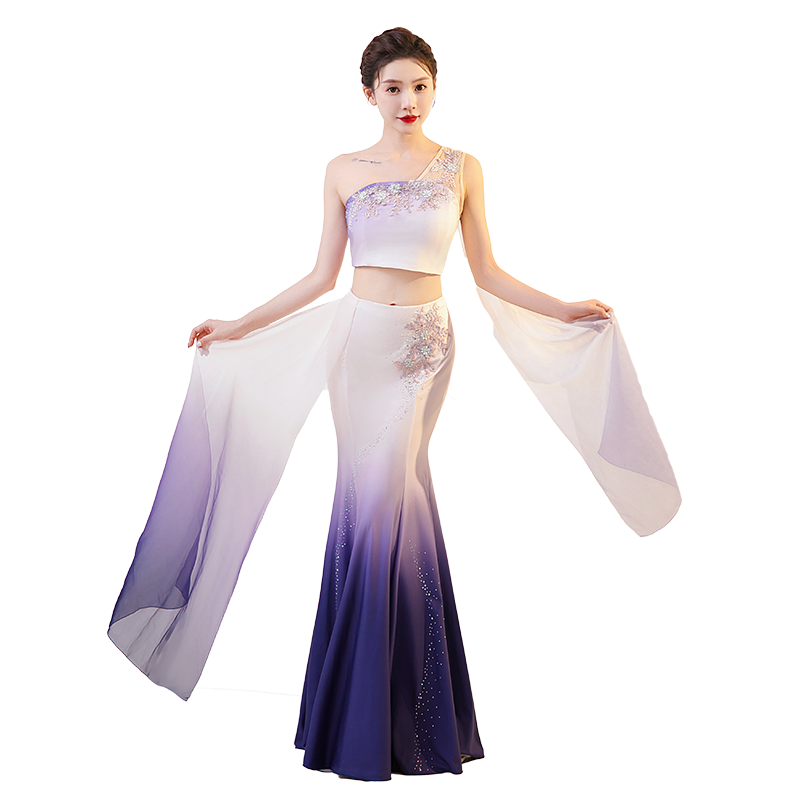 Dai dance clothing showing peacock dance bag hip fishtail skirt art test skirt new half -body performance clothing female