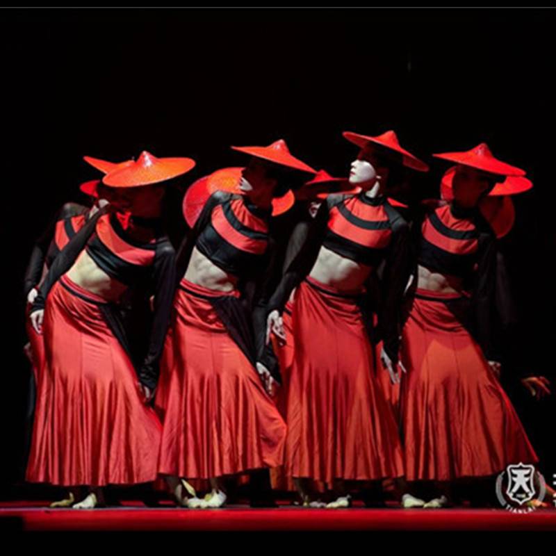 Women's dance mountain dance skirt Dai dance performance clothing Chinese style national clothing fishtail skirt big skirt