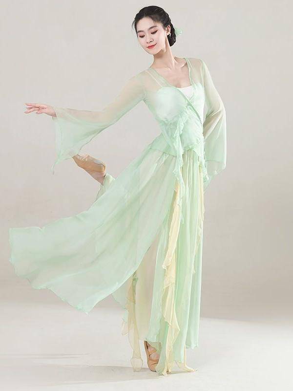 Classical Dance Performance Services Female Ferry Fairy Dance Series Adult Practice Service Long -sleeved National Dance