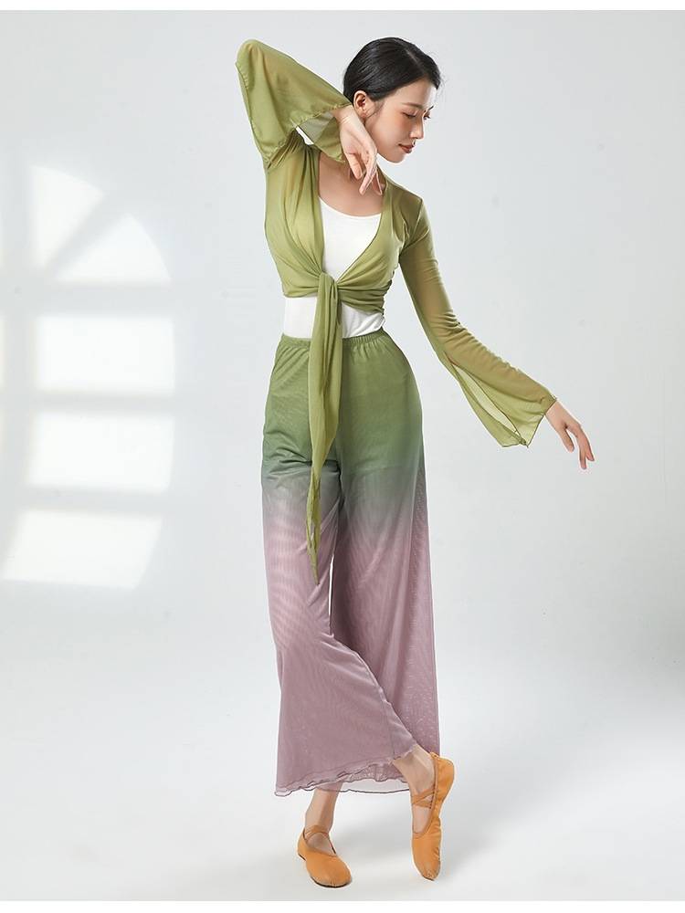 Classical dance gauze national dance clothing elegant 2023 new clothing base training dance top female body rhyme training service
