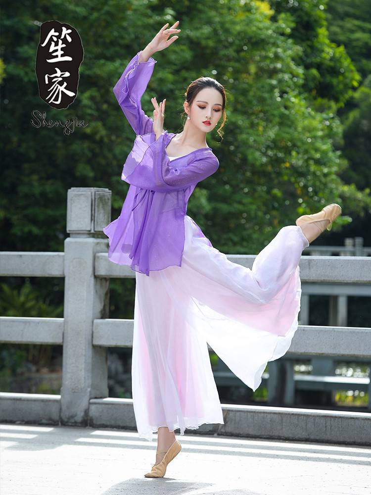 Shengjia Chinese Classical Dance Art Test Garma National Modern Dance Body Charisma and Several Hanfu Foundation Foundation Clothing
