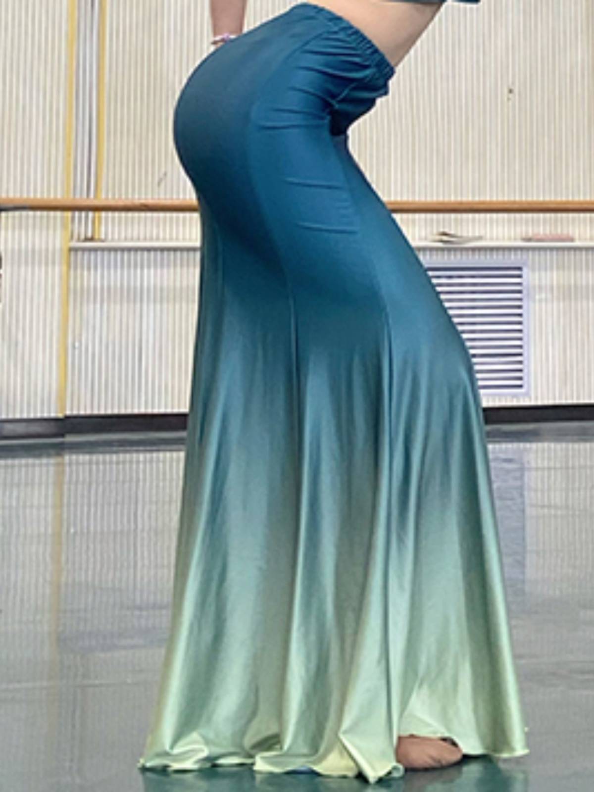 Dai dance performance skirt female adult half -bodies bag hip skirt gradient training skirt art test training national performance clothing