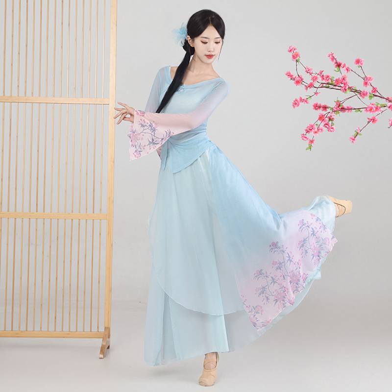 The new classical dance clothing is elegant and gradient printing gauze national style Chinese dance art test performance clothing girl