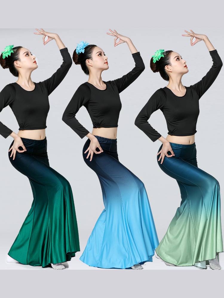 Dai dance clothing performance service female peacock dance bag hip skirt skirt fishtail skirt skills test skirt performance clothing