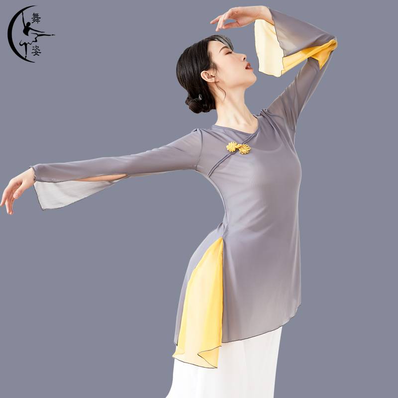 Dance practice clothes female summer Chinese national classical dance body rhyme gauze, elegant top teacher, special shape clothing
