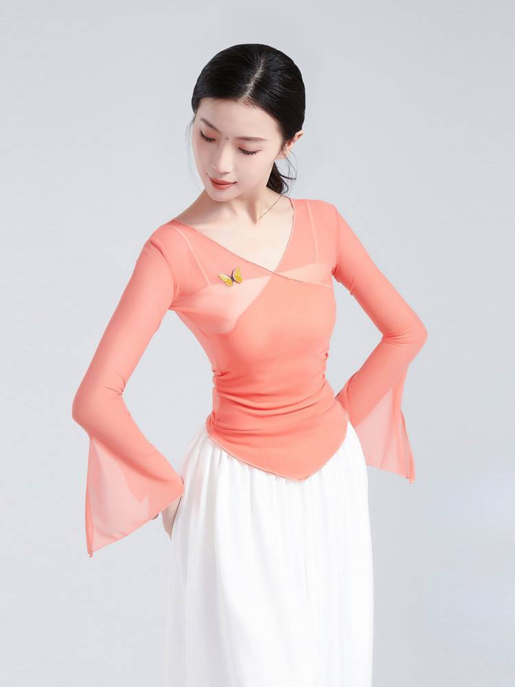 2024 new Chinese dance exercise suit classical dance gauze performance clothing elegant shape adult dance top female model