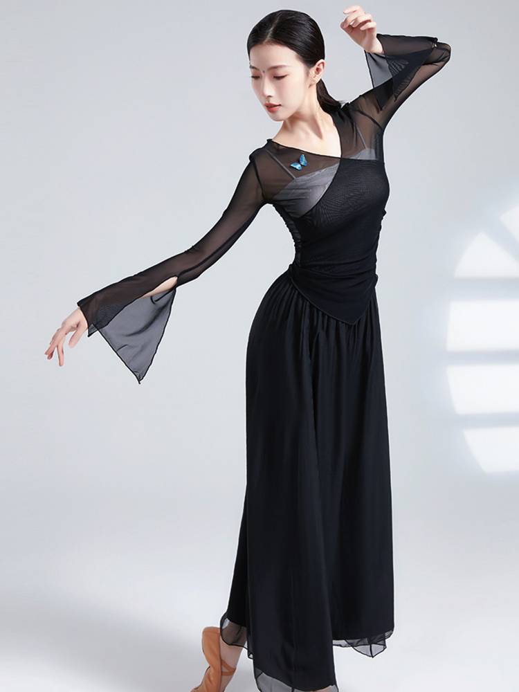 2024 new Chinese dance exercise suit classical dance gauze performance clothing elegant shape adult dance top female model