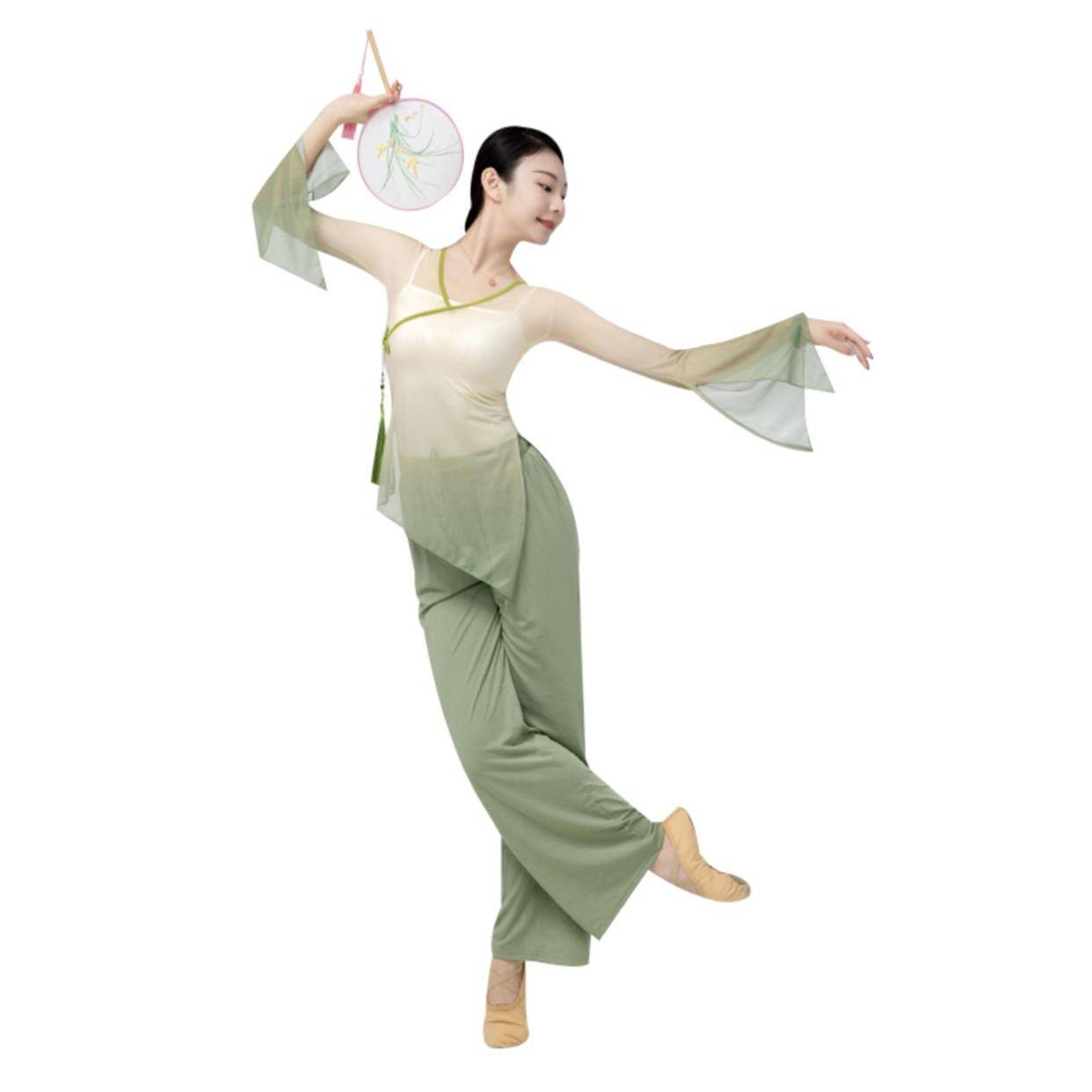 The new female classical dance clothing body rhyme, gradient gauze, practice service, Chinese style national dance, admitted to the top