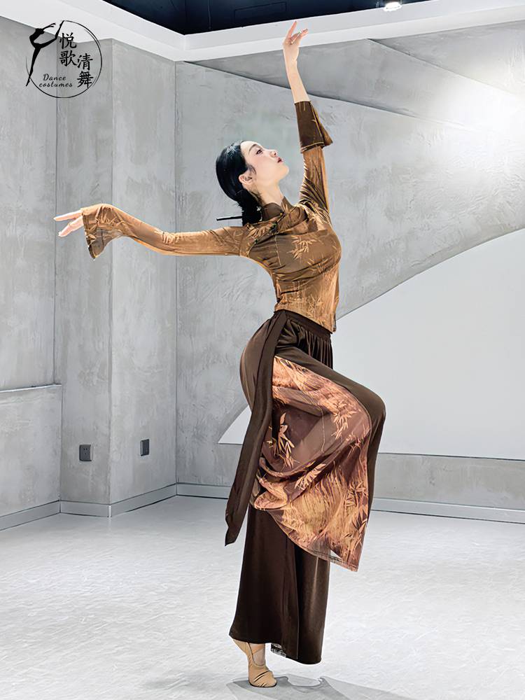 Classical dance yarn Chinese dance exercise kung furs 2024 new body performance suit elegant fairy dance top female model